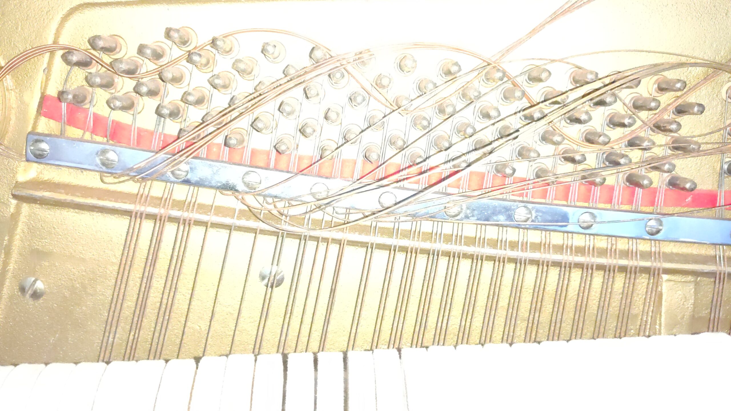 Olá, mundo… novamente!